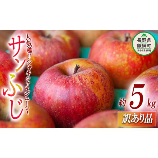 ふるさと納税 長野県 飯綱町 りんご サンふじ 訳あり 5kg 沖縄県への配送不可 2023年12月上旬頃から2024年2月下旬頃まで順次発送予定 ふるさと振興公社 長野県…