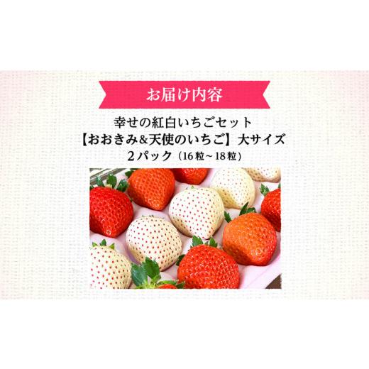 ふるさと納税 宮崎県 宮崎市 期間・数量限定 宮崎県産 イチゴ 幸せの紅白いちごセット おおきみ天使のいちご 大サイズ2パック(16粒〜18粒程度)_M260-010