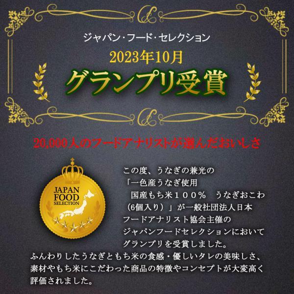 お歳暮 ギフト 国産 もち米 100%使用 一色産 うなぎ おこわ 6個入 笹包み 山椒炊き うなぎの兼光 のし対応可  贈り物 贈答 プレセント