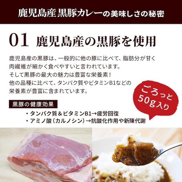 黒豚カレー200ｇ×3パック レトルトカレー レトルト食品 グルメ 常温保存 惣菜   カレールー ご当地グルメ 詰め合わせ B級グルメ  食品 ポーク 送料無料