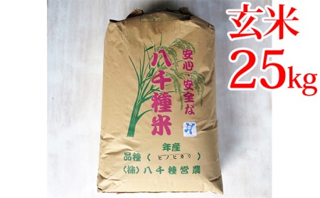 兵庫県福崎町産 ひのひかり 八千種米25kg 玄米 兵庫県認証食品（うるち米）兵庫推奨ブランド