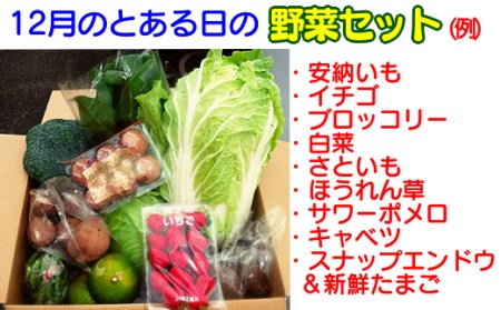 ３か月定期便・種子島の新鮮 野菜と果物７～１０品と鶏卵セット