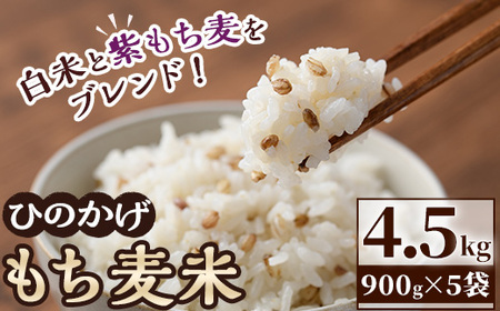 ＜新米・令和5年産＞宮崎県日之影町産もち麦米(900g×5袋) 