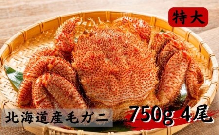 北海道産 冷凍 毛ガニ（特大）約750g×4尾