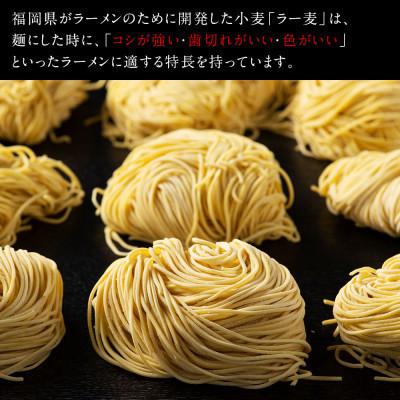 ふるさと納税 粕屋町 福岡県産ラー麦麺×博多塩スープ!濃縮スープ24g×10袋・麺100g×10玉(粕屋町)