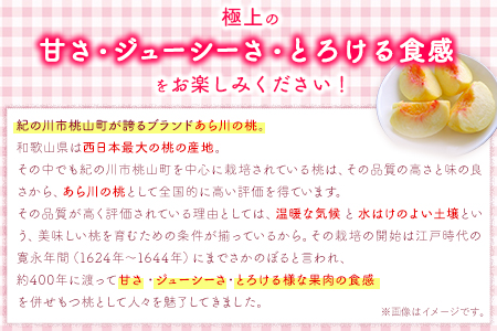 桃 もも あら川の桃 和歌山県産 紀州 の名産 旬の桃厳選 約2kg 6-8玉入り 《2024年6月中旬-8月中旬頃より順次出荷》 果物 フルーツ お取り寄せ 和歌山 予約 あかつき 紀の川 あらかわ 白鳳 日川白鳳 八旗白鳳 清水白桃 川中島白桃 つきあかり