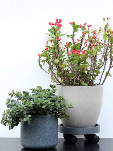 園藝花卉綠植盆磨砂仿石頭花盆歐式樹脂花盆加厚耐用環保塑料花盆/花盆/綠植盆/養植盆/養花盆/陶瓷盆/塑料盆