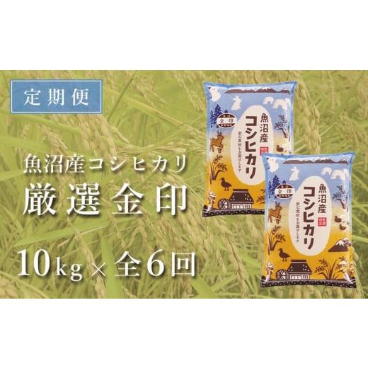 ふるさと納税 新潟県 津南町 ＜令和5年産新米＞魚沼産コシヒカリ「金印」高食味米 10kg×全6回（6ヶ月連続お届け）