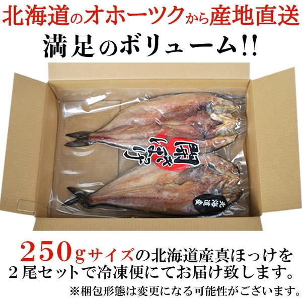 ギフト対応可 肉厚！北海道産 真ほっけ 一夜干し 250g×2 ［A冷凍］