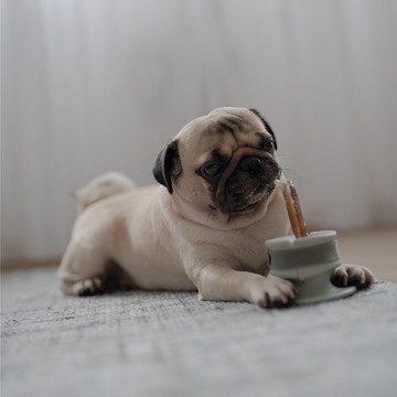 【Lunoji】 CHEWDEN 咬咬握 - 啃咬 安全 抗憂解