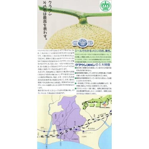 静岡県産 クラウンメロン マスクメロン 静岡メロン A 特大1玉