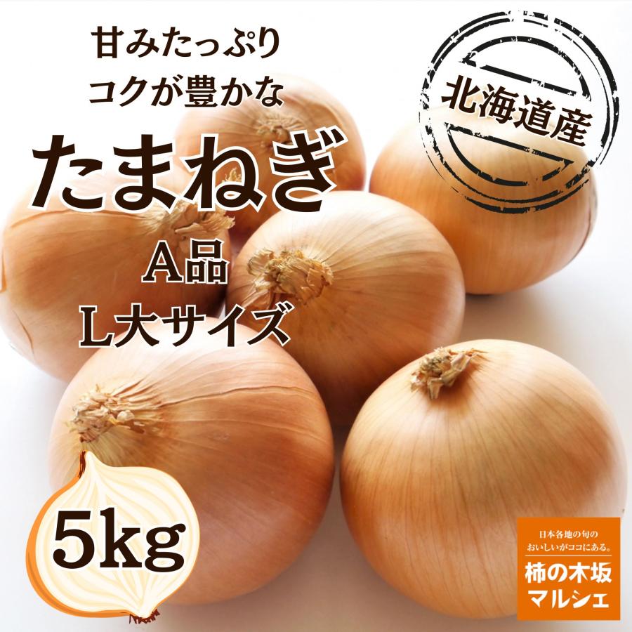 柿の木坂マルシェ たまねぎ 北海道県産 秀品 L大サイズ ５ｋｇ