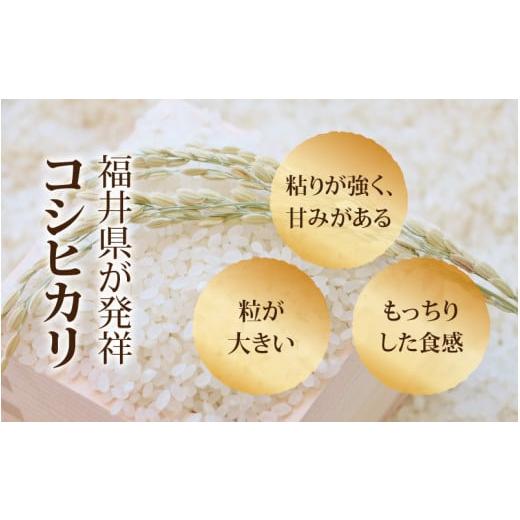 ふるさと納税 福井県 永平寺町  令和5年度産 永平寺町産 コシヒカリ 2kg×12ヶ月（計24kg）  [E-033055]