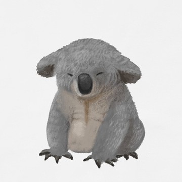 American Explorer 美國探險家 印花T恤(客製商品無法退換) 圓領 美國棉 T-Shirt 獨家設計款 棉質 短袖 -無尾熊