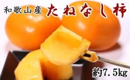 ◆先行予約◆和歌山産たねなし柿（L～4Lサイズおまかせ）約7.5kg・秀品 ※2023年9月下旬～2023年11月上旬頃に順次発送