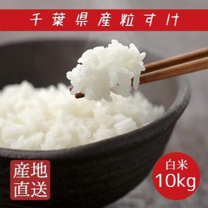 新米 米 お米 白米 10kg 5kg×2袋 令和5年産 粒すけ 本州四国 送料無料 新品種