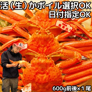 カニ 松葉ガニ タグ付き 日付指定OK 1尾 600g前後×1尾 活 生 か ボイル 選択可 未冷凍 送料無料 国産 鳥取 境港 直送 松葉蟹 姿 生食用