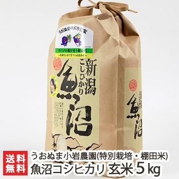 特別栽培米（減農薬・無化学肥料）魚沼産 コシヒカリ 玄米5kg 株式会社うおぬま小岩農園 ギフトにも！ のし無料 送料無料