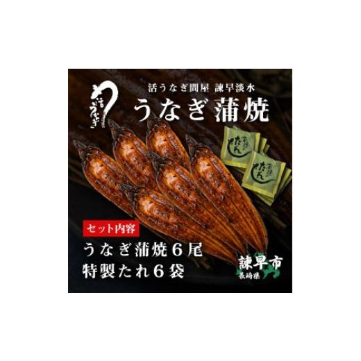 ふるさと納税 長崎県 諫早市 うなぎ蒲焼6尾