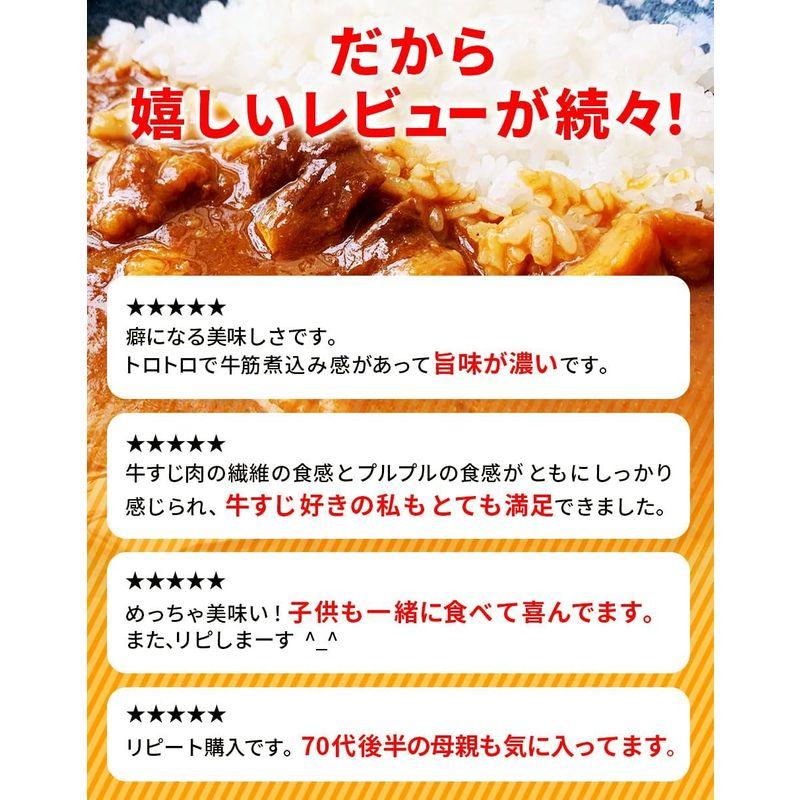 江戸商人 牛すじ肉カレー 中辛 3パック入り 100%国産牛すじ玉ねぎ使用 年末年始