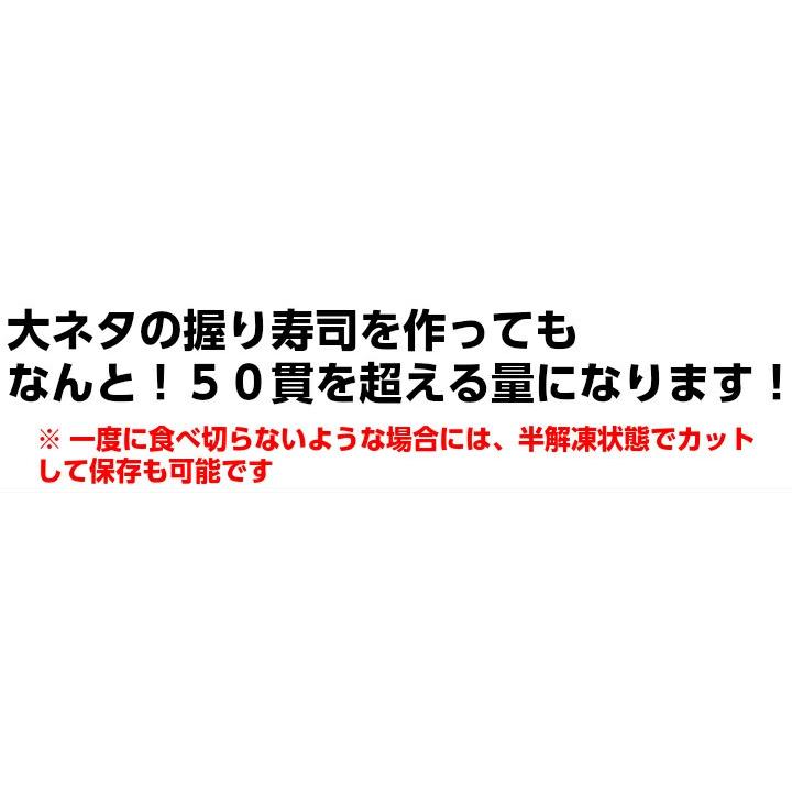 業務用冷凍トロサーモン 半身 お刺身用 約1ｋｇ 骨なし 皮つき トリムC メガ盛り10人前以上 チリ産トラウトサーモン 冷凍便 刺身用