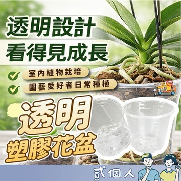 台灣現貨 植栽 透明控根盆 塑膠花盆 控根盆 蘭花盆 植物控根 觀葉植物專用盆 蝴蝶蘭花盆 透明花盆 盆栽容器