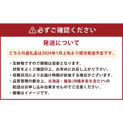 ふるさと納税 福岡県 香春町 博多あまおう 約280g×2パック(冬) あまおう いちご 苺 果物 フルーツ 福岡県産 博多