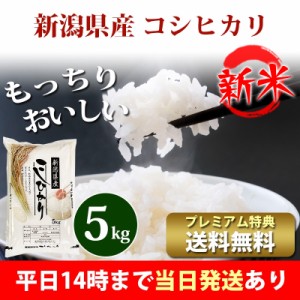 新米 米 5kg 新潟県産 コシヒカリ 令和5年産 お米 5kg プレミアム特典 送料無料 北海道・沖縄配送不可 即日発送 クーポン対象 5キロ 安い