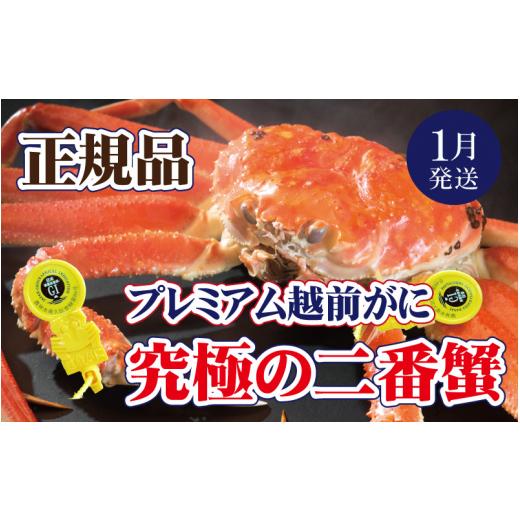 ふるさと納税 福井県 越前町 越前がに本場の越前町からお届け！ 越前がに × 1杯（二番蟹）究極のプレミアム越前がに【福井県 越前町 雄 ズワ…