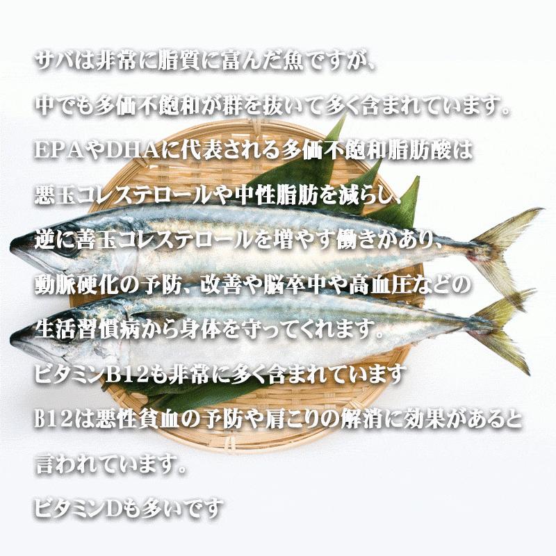 ひもの 一夜干し 鯖（さば）の味醂（みりん）3枚とあじの一夜干し鯵5枚セット 送料無料 伊東 お取り寄せ 干物 ひもの お歳暮やお中元に 伊豆