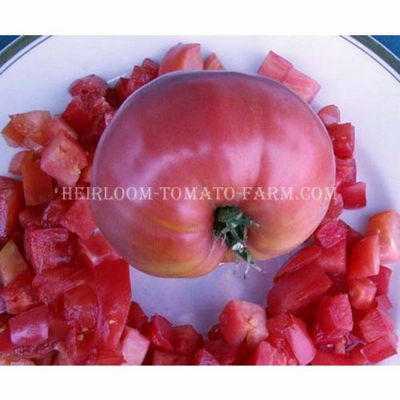 Heirloom Tomato Mrs Houseworth エアルーム トマト ミセス ハウスワース 15 Seeds P 通販 Lineポイント最大0 5 Get Lineショッピング