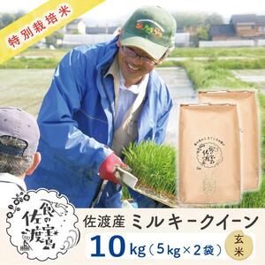 特別栽培米 佐渡島産ミルキークイーン 玄米10Kg(5Kg×2袋)