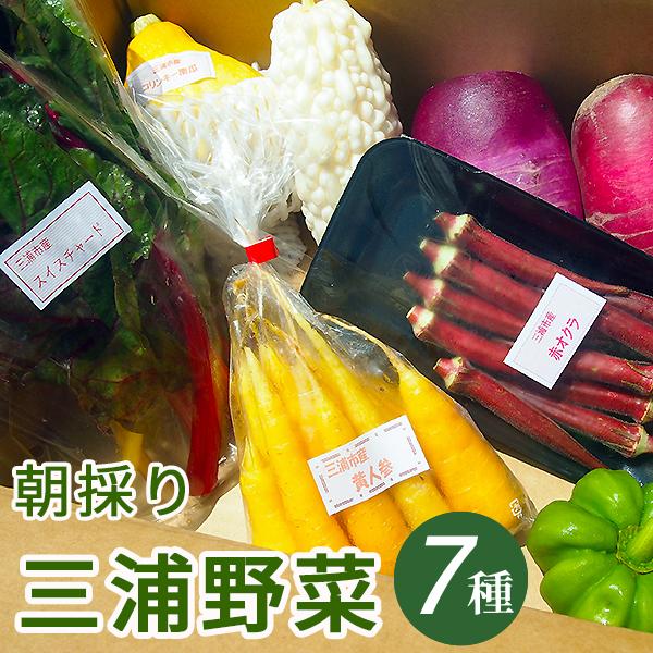 朝採り三浦野菜セット（7種類）