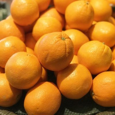 ふるさと納税 日高町 和歌山県産ネーブルオレンジ約7.5kg(サイズおまかせ)(日高町)