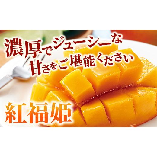 ふるさと納税 沖縄県 石垣市 「紅福姫ブランド」石垣島のマンゴー 1kg 2〜3玉【沖縄県 石垣市 産地直送 旬 石垣島産 マンゴー 完熟…