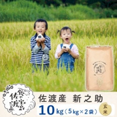 佐渡島産新之助 玄米10Kg(5Kg×2袋)