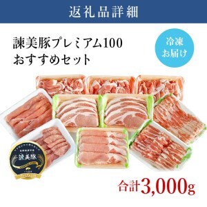 諫美豚(かんびとん)プレミアムおすすめセット3kg