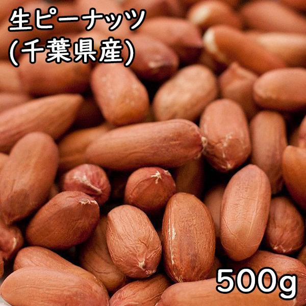 生ピーナッツ (500g) 令和5年 千葉県産 