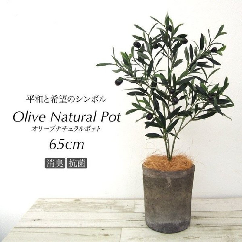 人工観葉植物 オリーブポット実付き ミニ P199-fg1788 造花 インテリアグリーン 高さ70cm 代引き不可