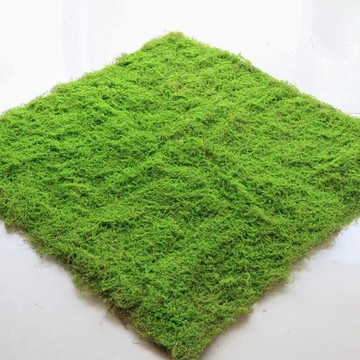 植物墻仿真苔蘚綠色假苔蘚青苔微景觀盆景造景裝飾材料草坪草皮