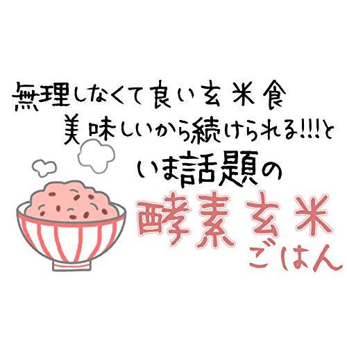 かんたん酵素玄米 3合 お試し 令和5年産 那智のめぐみ 玄米 ピロール米 残留農薬ゼロ 減農薬 小豆 天然塩