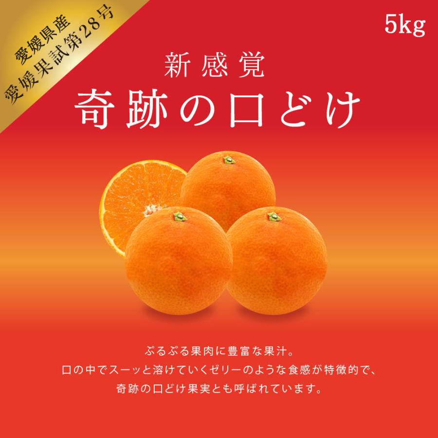 愛媛果試第28号 5kg みかん 愛媛 送料無料 ギフト 柑橘 果汁 果物 高級 秀品 特選 特秀 小玉 大玉 高糖度 甘い 産地直送 贈答 家庭 ハウスみかん お歳暮