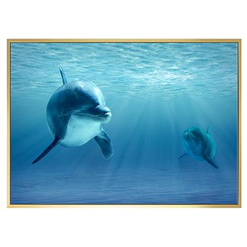 菠蘿選畫所 海豚微笑掛畫 40 x 30cm - 海洋風居家裝飾  金色