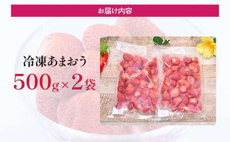 福岡産 冷凍あまおう 合計1kg 500g×2袋 あまおう イチゴ いちご スイーツ 果物 フルーツ 送料無料