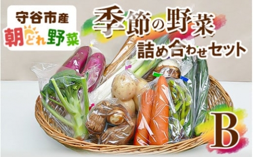 季節の野菜セットB