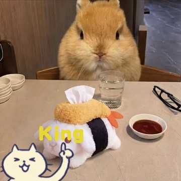 【臺灣出貨】日系軟萌壽司兔子絨毛紙巾盒 滿滿少女心桌面玩偶擺設 網紅風格軟質布藝抽紙收納盒 柔軟絨毛質感兼具裝飾實用性