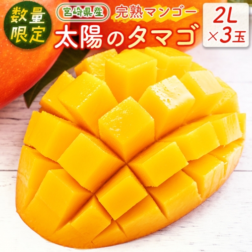 ＜数量限定＞宮崎県産 太陽のタマゴ 2Lサイズ3玉 完熟マンゴー