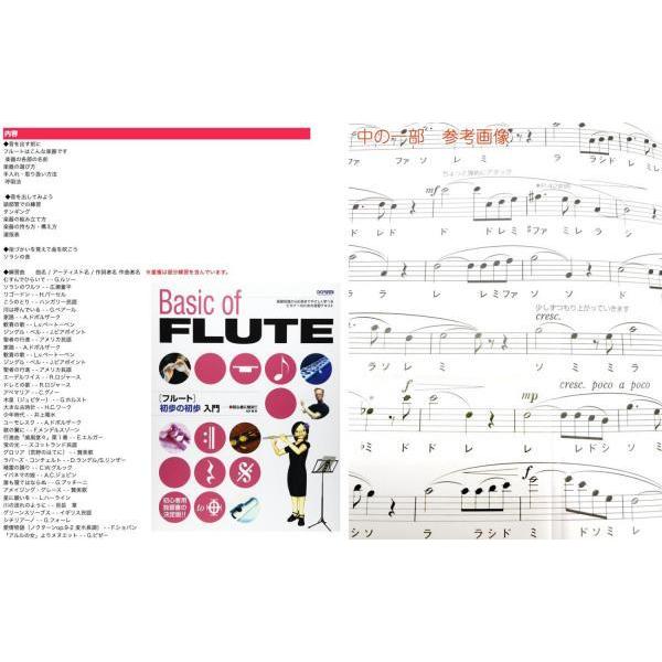 Pearl Flute PF-665E フルート 頭部管 銀製 特注 ピンクゴールド ヘッドキャップ ドルチェ カバード Dolce flute PF665E セット J　北海道 沖縄 離島不可