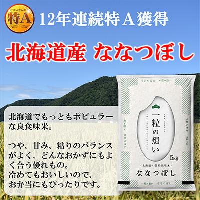 ふるさと納税 むかわ町 12年連続特A受賞米!北海道むかわ町産ななつぼし 精米10kg