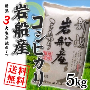 岩船産コシヒカリ 5kg （5キロ×1袋）  米 5キロ 送料無料 精米 令和5年 5kg お米 5kg 安い